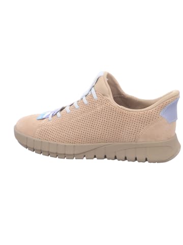 Geox Schnürschuh in beige