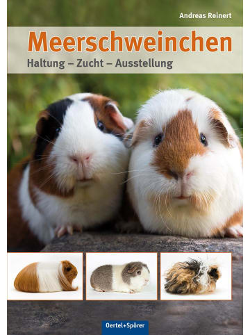 Oertel Und Spoerer Meerschweinchen