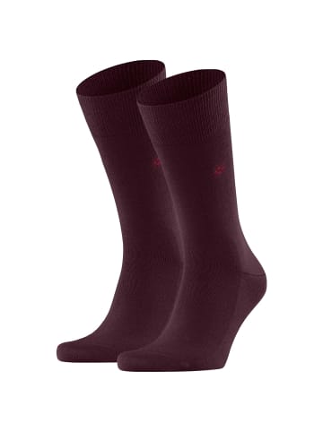 Burlington Socken 2er Pack in Dunkelrot