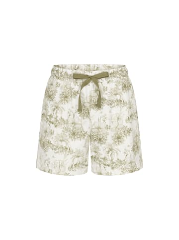Triumph Langer Boxer Red Label Mix & Matchs in GREEN - LIGHT COMBINATION