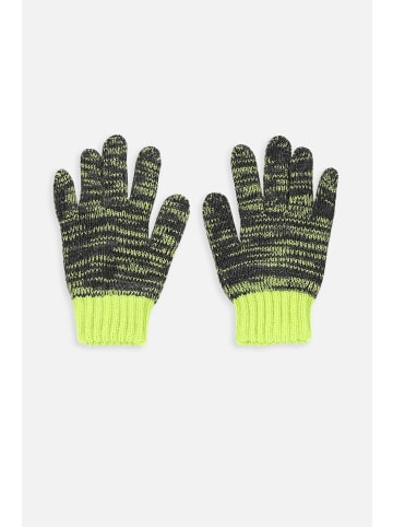 Coccodrillo Handschuhe in bunt