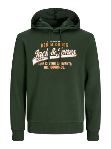 JACK & JONES PLUS Kapuzenpullover in Kombu Green