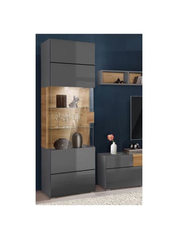 Helvetia Vitrine Toledo anthrazit / Alteiche 60,8 / 39,5 / 204cm