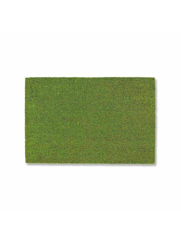 Astra Fußmatte In- und Outdoor COCO COLOR T 1 in Grün