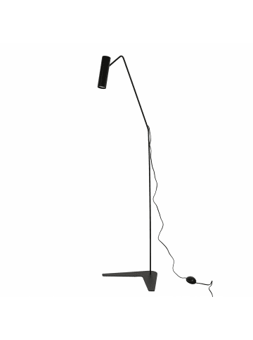 Licht-Erlebnisse Stehlampe (B)50 x (L)70 x (H)160 cm in Schwarz