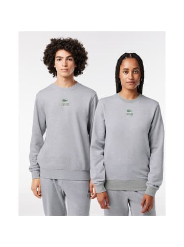 Lacoste Sweatshirt in Grau