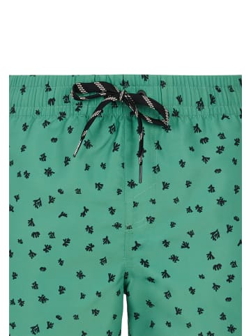 Protest " PRTJuan in Cactus Green