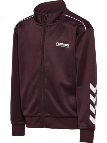 Hummel Kinder Trainingsanzug "Tracksuit" in Braun
