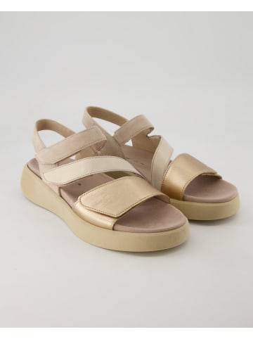 Gabor Comfort Sandalen in Gold