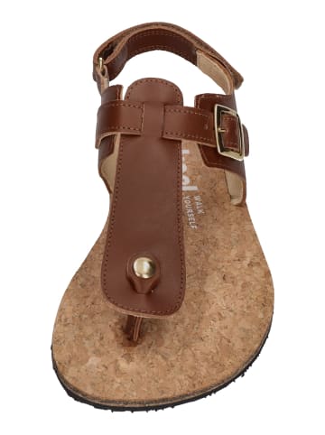 KOEL Sandalen ARIANA in braun