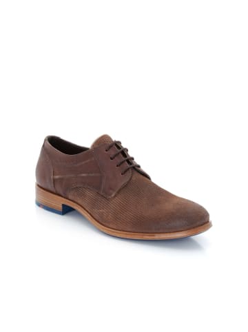 LLOYD JESSY JESSY in nuss/tobacco