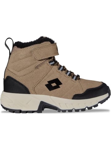 Lotto Kinder Sneaker "Sneaker" in Braun