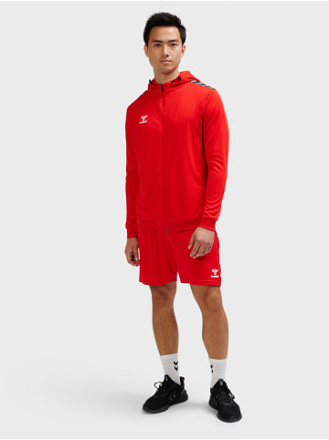 Hummel Reißverschluss Kapuzenpullover Hmlauthentic Herren in TRUE RED