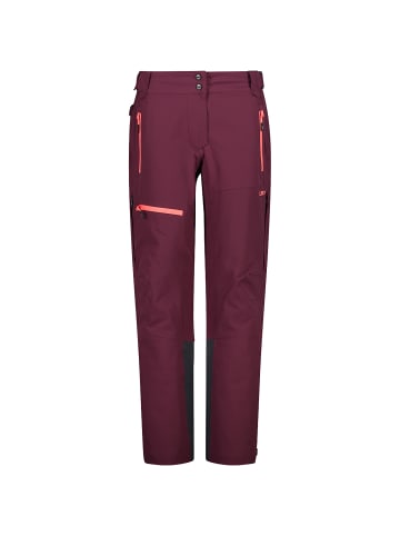 Campagnolo W PANT VII in Pflaume