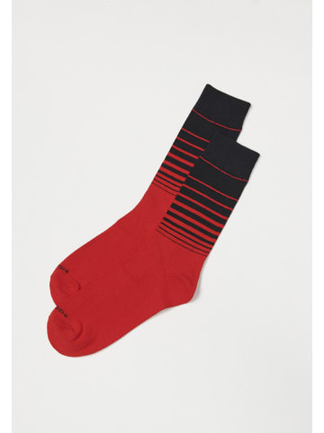 KOROSHI Pack von 7 herrenstrÃ¼mpfen in bunt