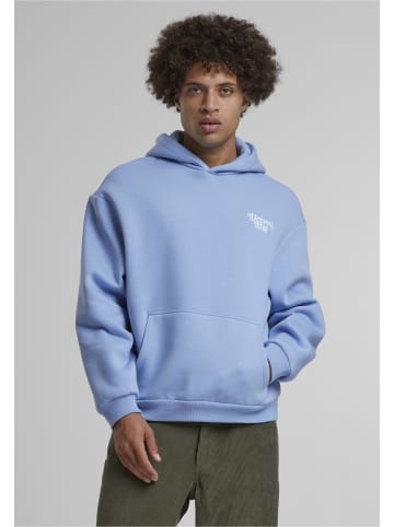 Mister Tee Sweat & Fleece - Hoodies in powderblue