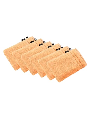 Vossen 6er Pack Waschhandschuh in apricot