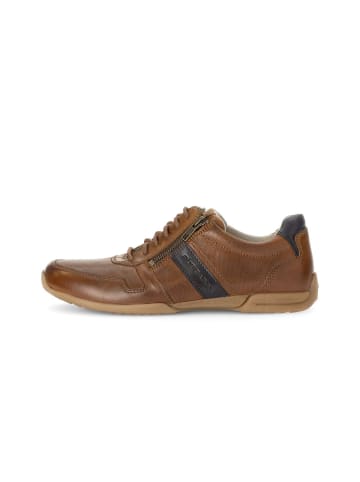 Pius Gabor Sneaker low in braun