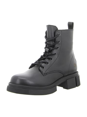 Apple of Eden Schnürboots in Schwarz