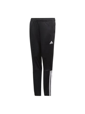 adidas Sporthose Regi18 in Schwarz