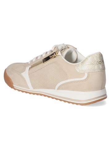 Marco Tozzi Schnürhalbschuh in beige