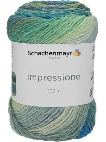 Schachenmayr since 1822 Handstrickgarne Impressione, 100g in Landscape color