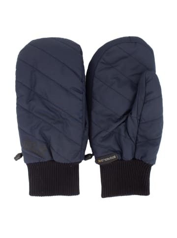 Jack Wolfskin Accessoires Maryland Mitten Stormlock in Blau