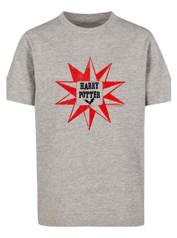 F4NT4STIC T-Shirt in heather grey