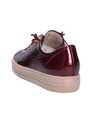 Paul Green Sneaker in rot