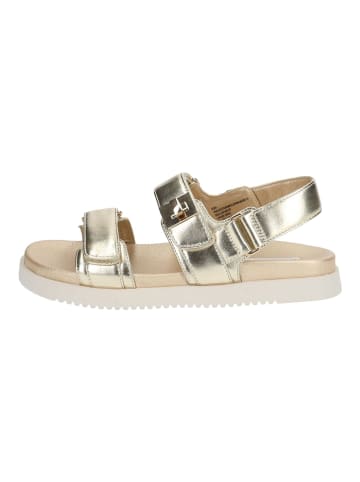 Steve Madden Sandalen Gold
