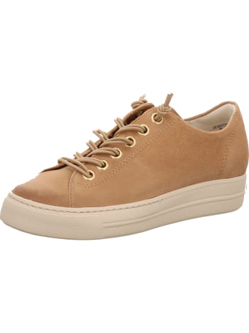 Paul Green Schnürschuh in beige