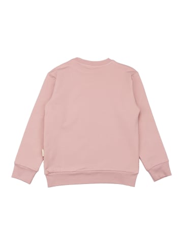 Walkiddy Sweatshirt The Cute Cats-Sweatshirt