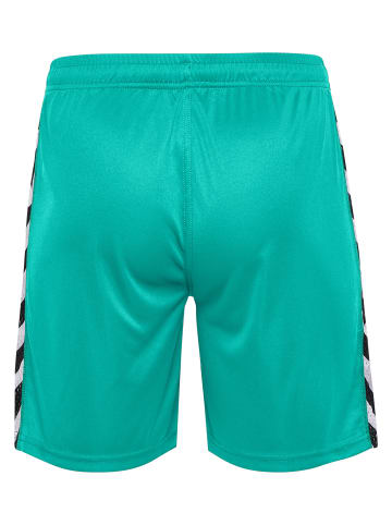 Hummel Kurze Hose Playful Shorts Erwachsene in ATLANTIS