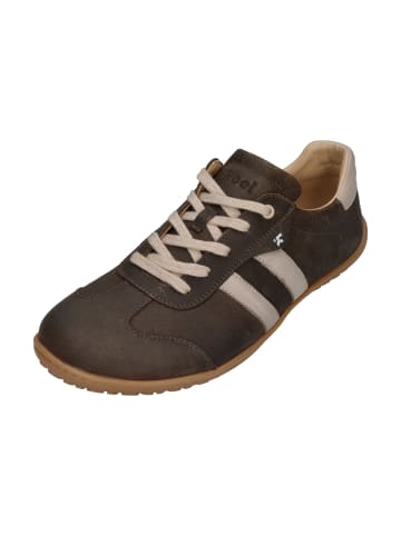 KOEL Sneaker Low ILO SUEDE in grau