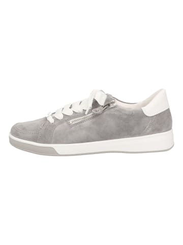 ara Sneaker in Grau/Weiß