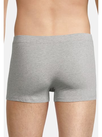 Seidensticker Retro Short / Pant Pur in Mehrfarbig