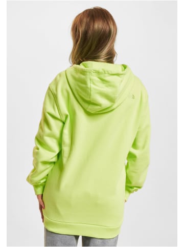 The North Face The North Face Kapuzenpullover in sharp green