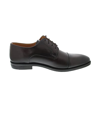DIGEL Stan Business Schuh Braun