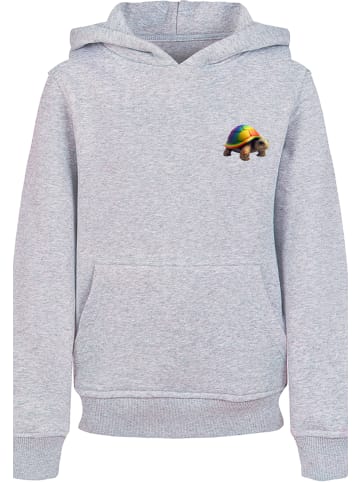 F4NT4STIC Hoodie Rainbow Turtle HOODIE UNISEX in grau meliert