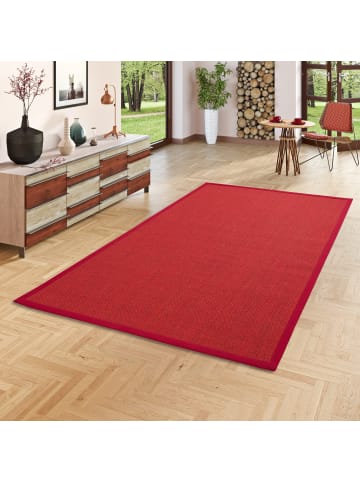 Pergamon Sisal Teppich mit Bordüre in rot