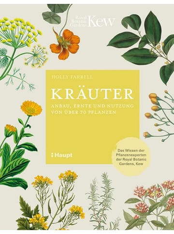 Haupt Kräuter