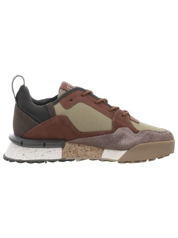 Replay Sneaker in braun