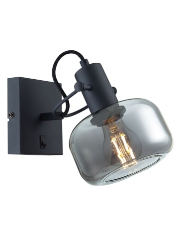 Licht-Erlebnisse Spot Strahler (B)26 x (H)16 cm in Schwarz Rauchgrau