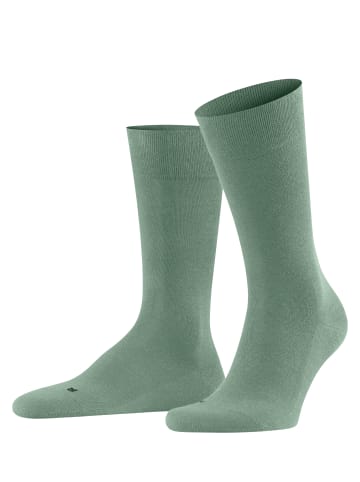 Falke Socken Sensitive London in Sage