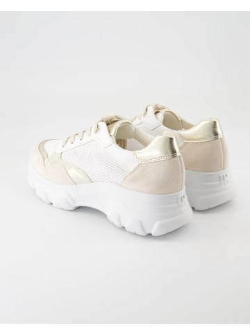 Paul Green Sportliche Schnürschuhe in Beige