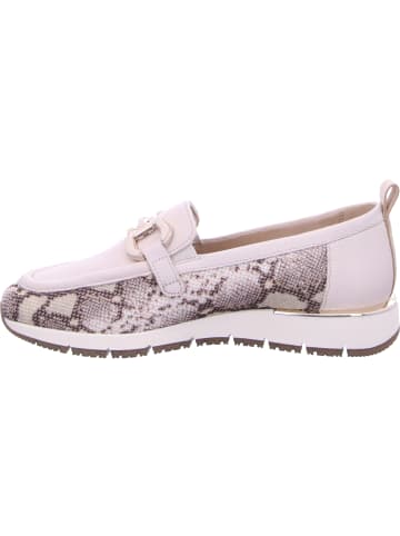 Tamaris Mokassin in BEIGE SNAKE