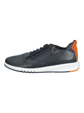 Geox Sneaker in Blau