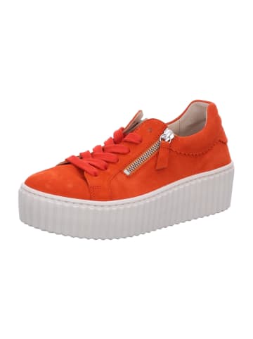 Gabor Schnürschuhe in pumpkin (creme)