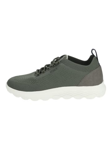 Geox Sneaker Dunkelgrün