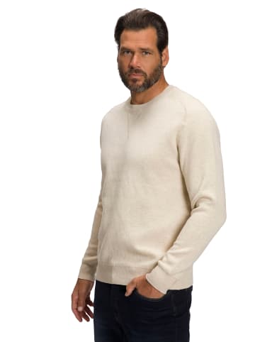 JP1880 Pullover in natur melange